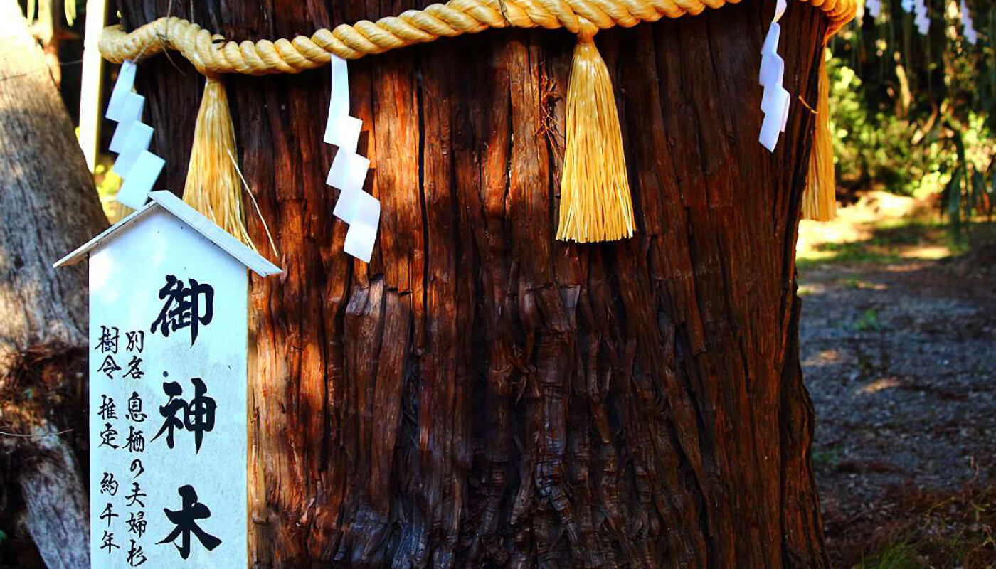 東国三社マップ